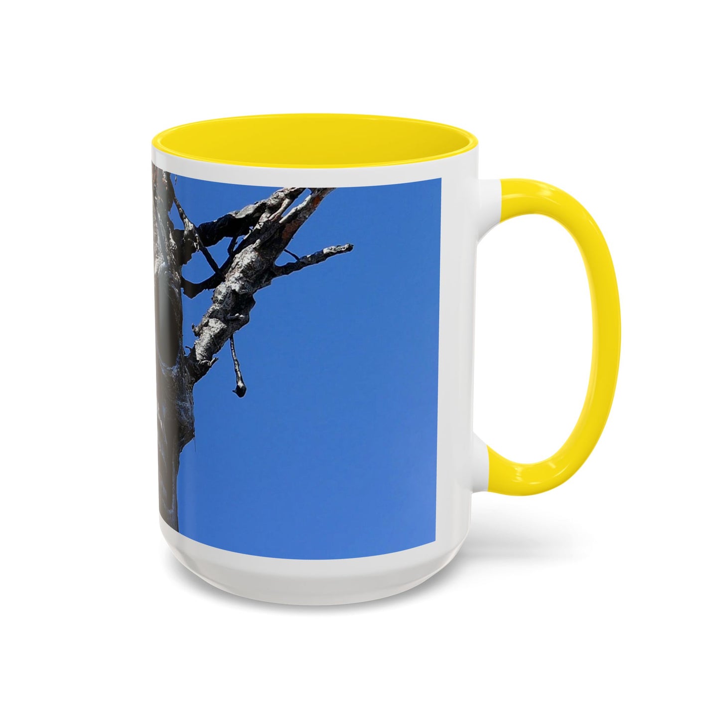 Skull Warrior Stare - Accent Coffee Mug (11, 15oz)