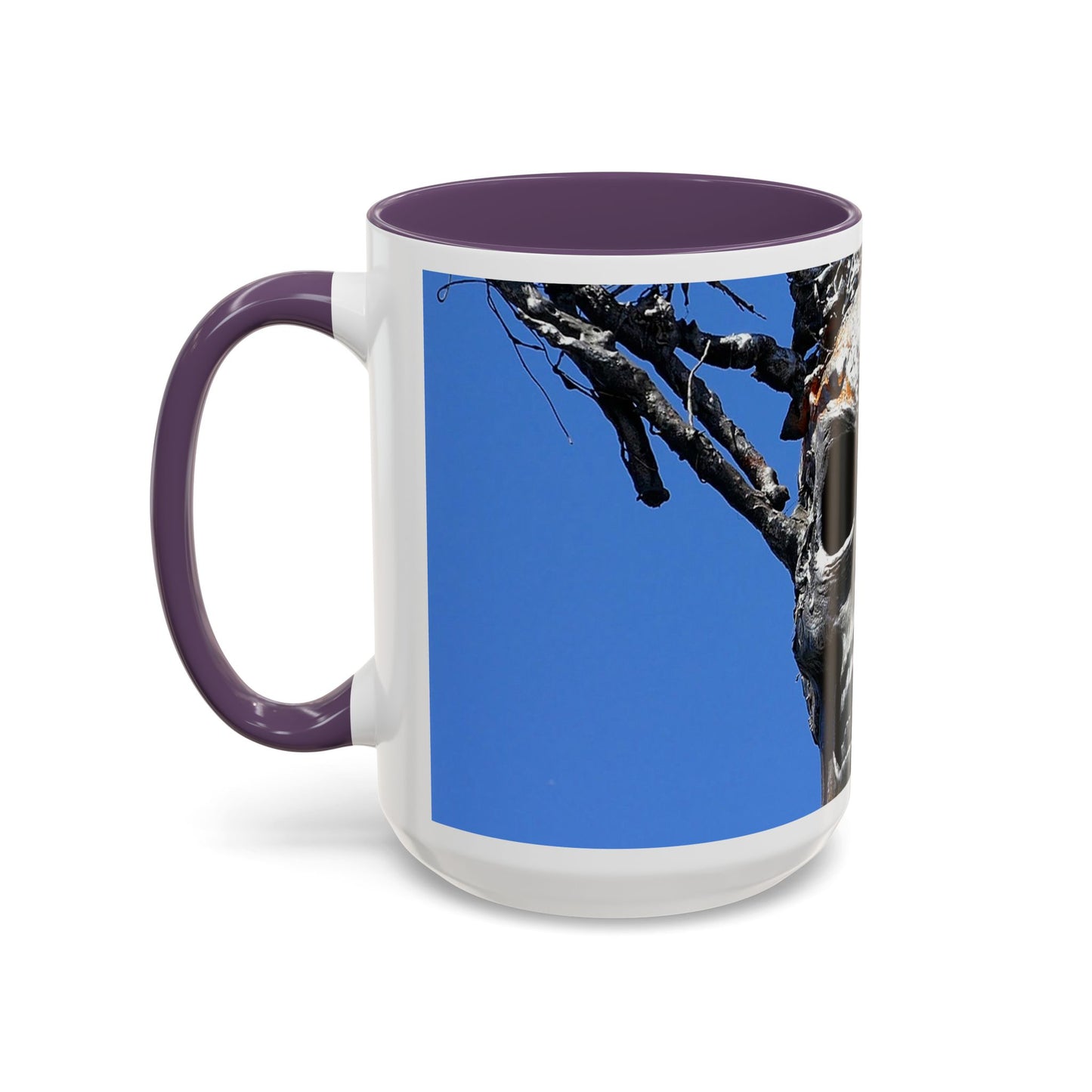 Skull Warrior Stare - Accent Coffee Mug (11, 15oz)