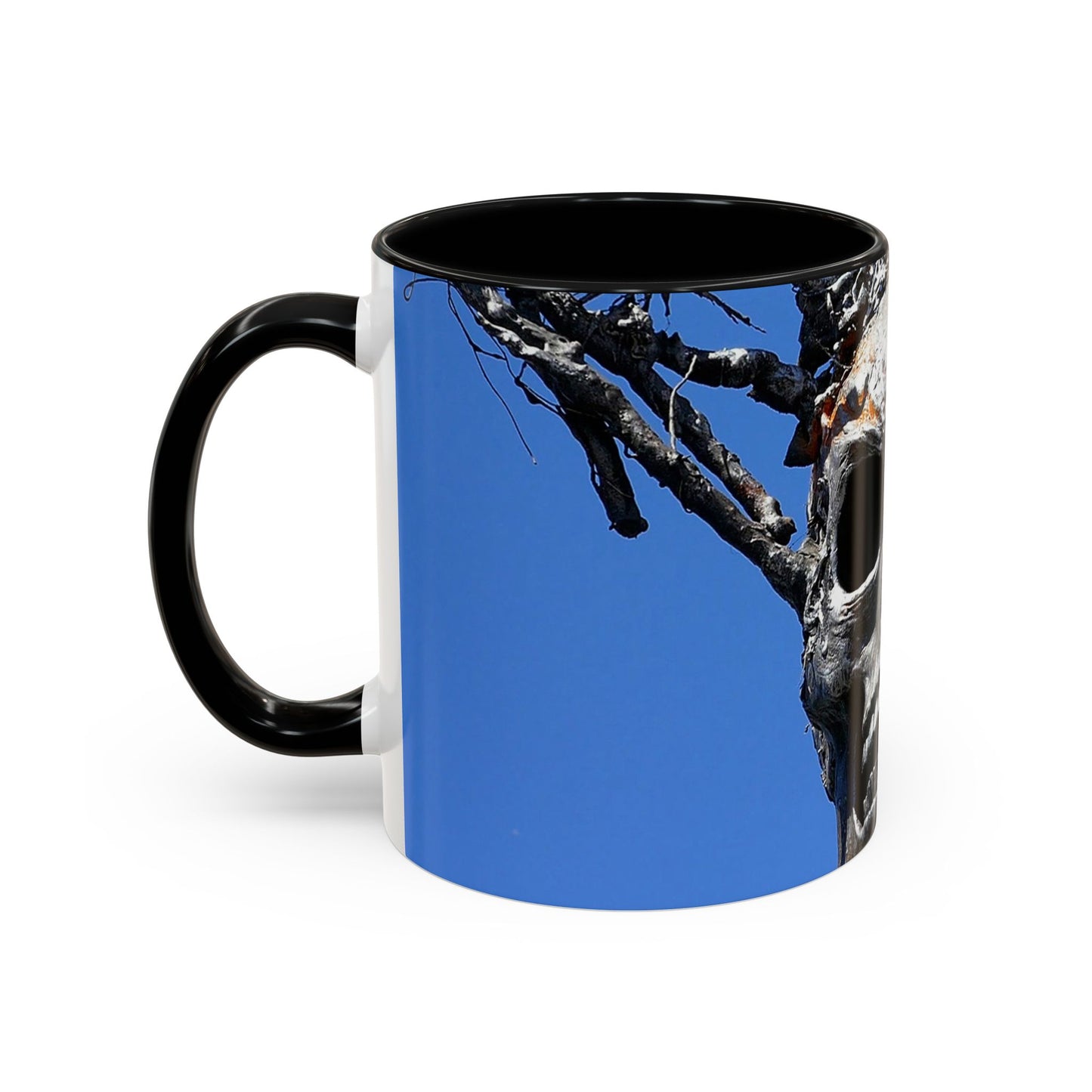 Skull Warrior Stare - Accent Coffee Mug (11, 15oz)