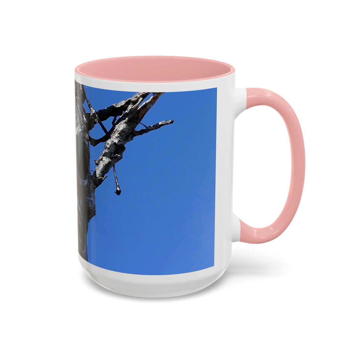 Skull Warrior Stare - Accent Coffee Mug (11, 15oz)