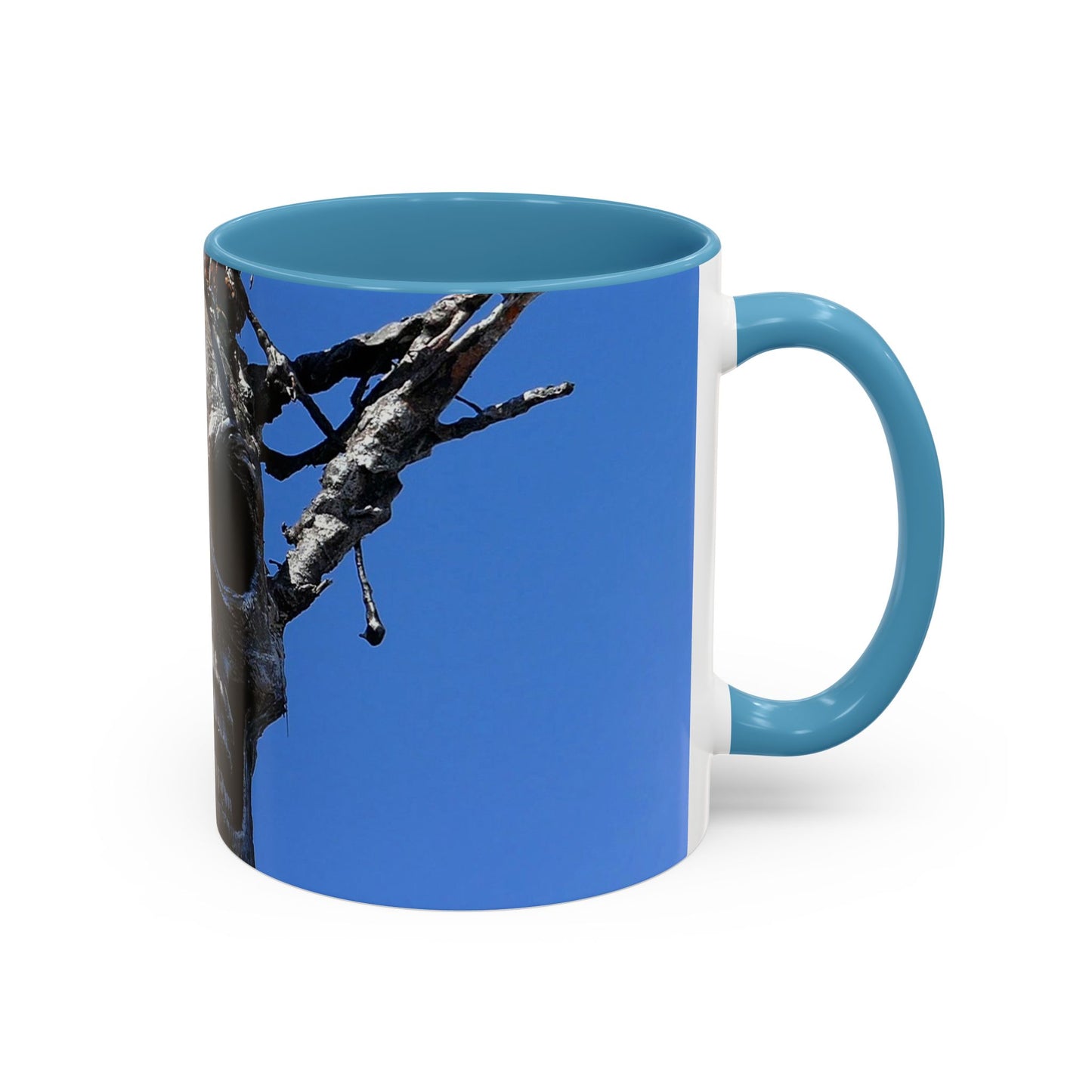 Skull Warrior Stare - Accent Coffee Mug (11, 15oz)