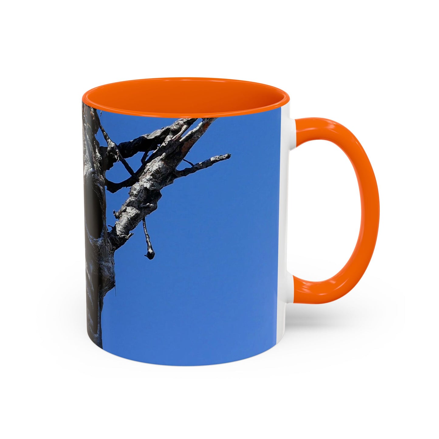 Skull Warrior Stare - Accent Coffee Mug (11, 15oz)