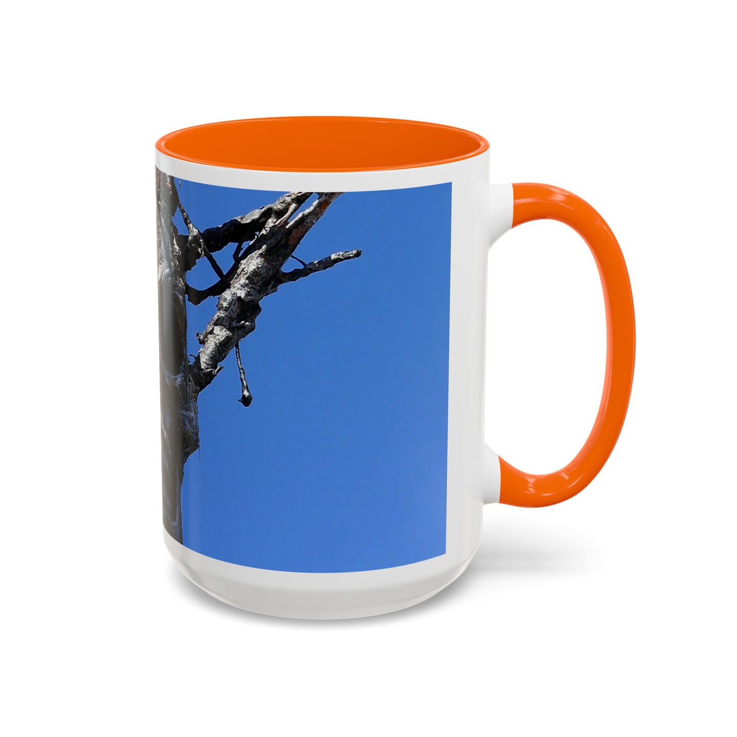 Skull Warrior Stare - Accent Coffee Mug (11, 15oz)