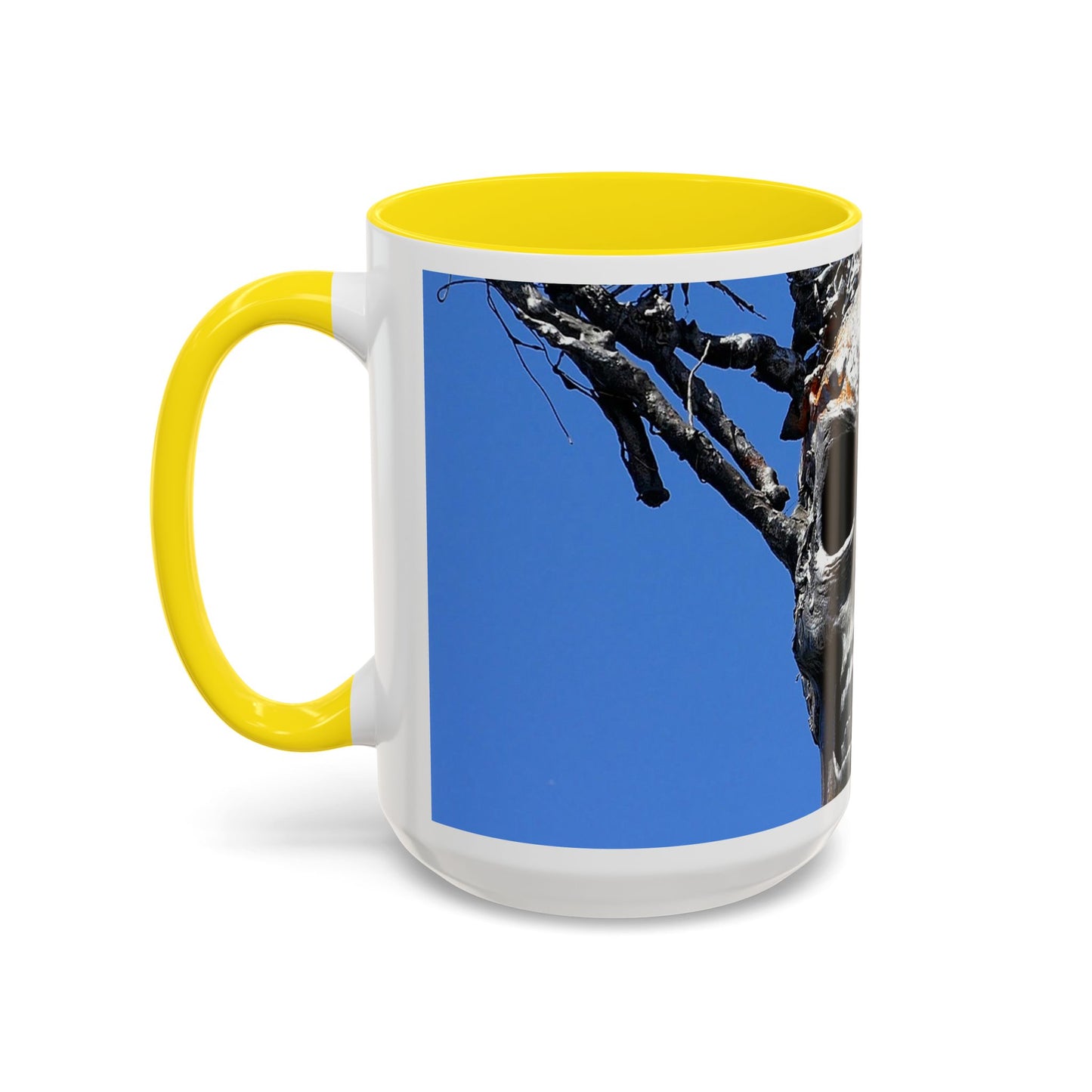 Skull Warrior Stare - Accent Coffee Mug (11, 15oz)