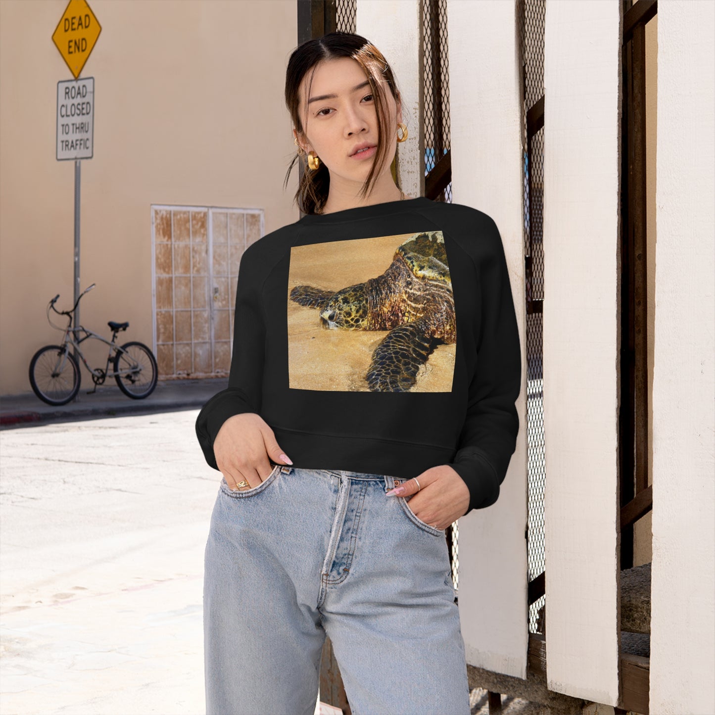 Glistening Journey - Women's Cropped Fleece Pullover - Fry1Productions