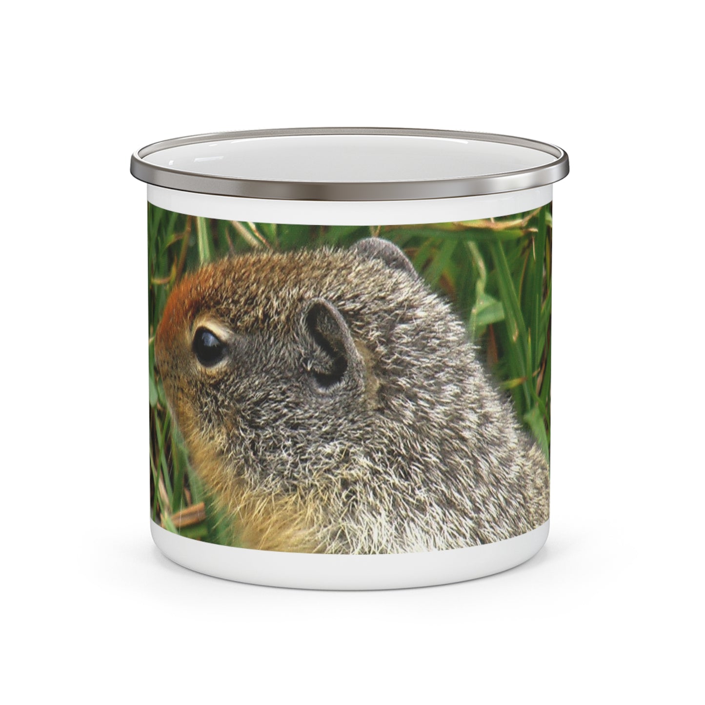Inquisitive Stare - Enamel Camping Mug 12oz