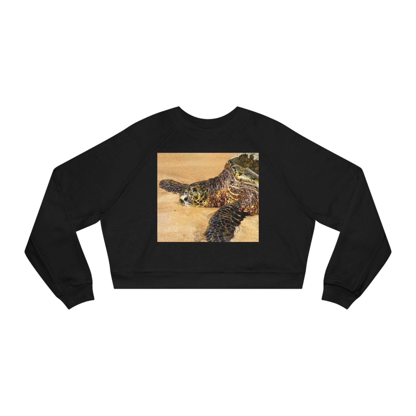 Glistening Journey - Women's Cropped Fleece Pullover - Fry1Productions