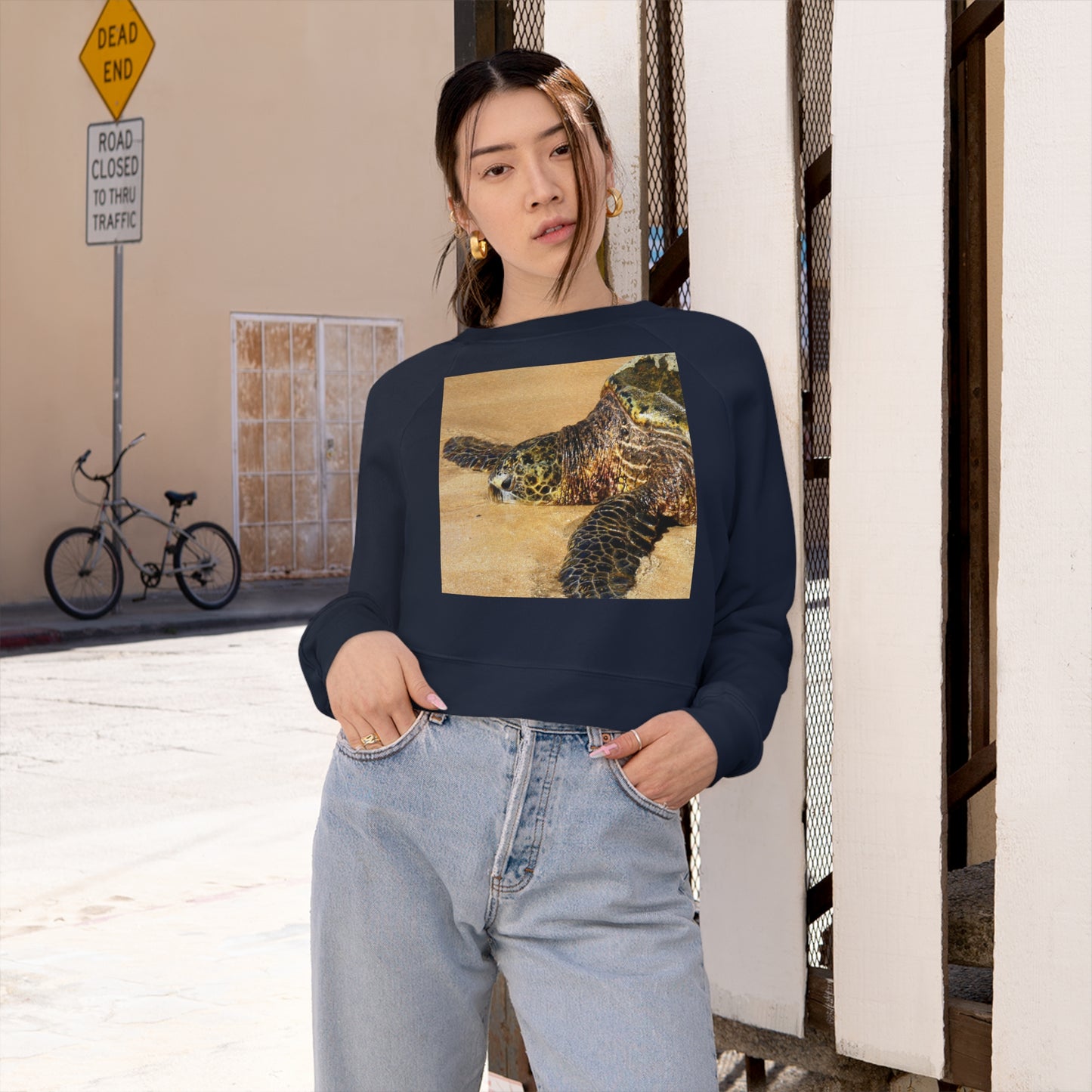 Glistening Journey - Women's Cropped Fleece Pullover - Fry1Productions