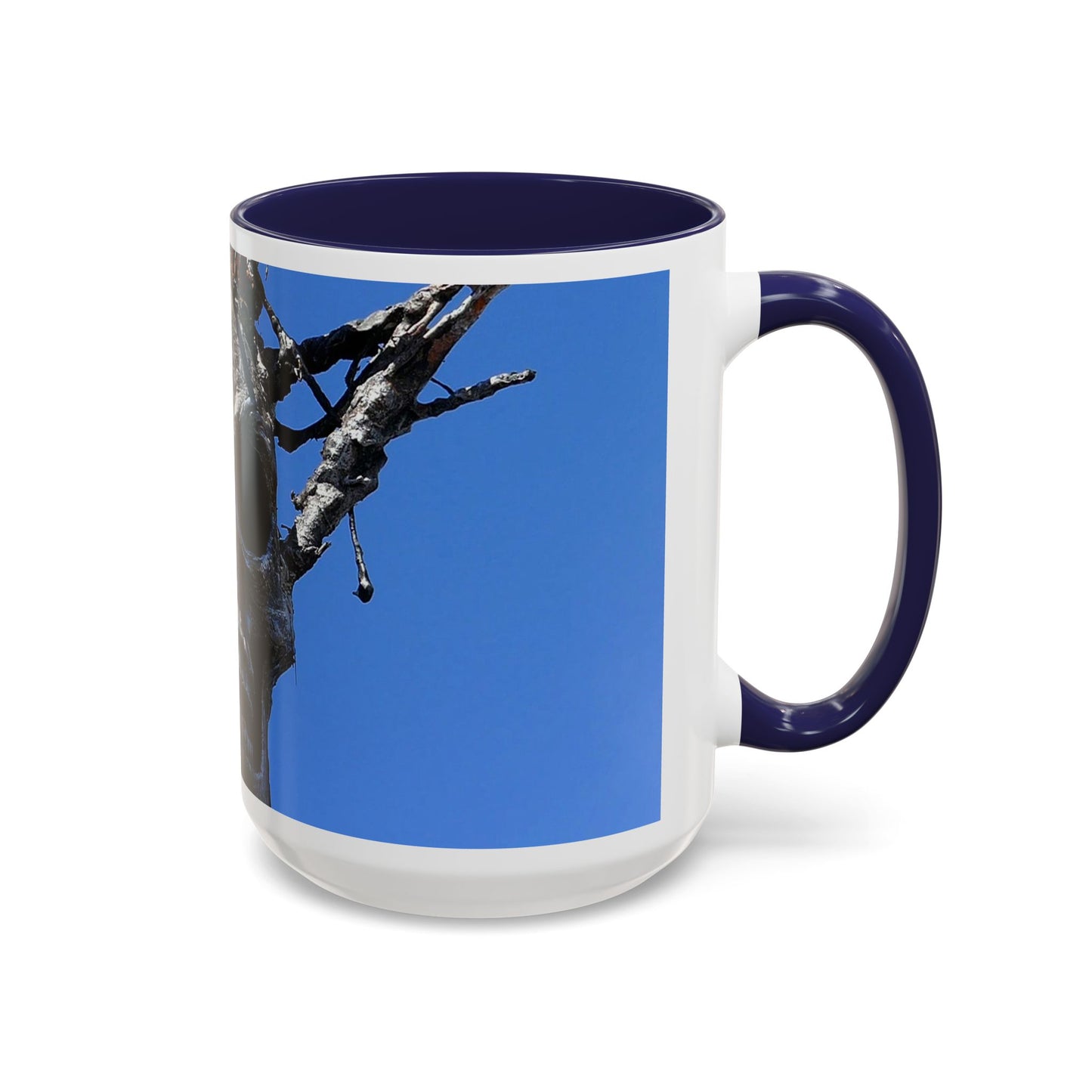 Skull Warrior Stare - Accent Coffee Mug (11, 15oz)
