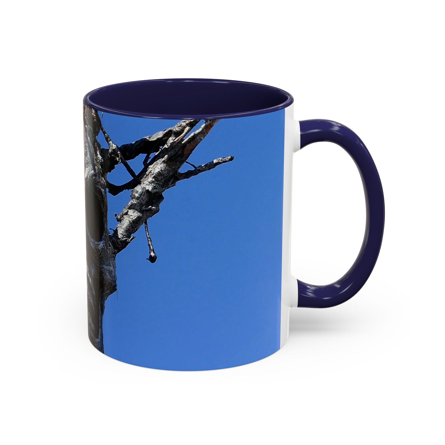 Skull Warrior Stare - Accent Coffee Mug (11, 15oz)