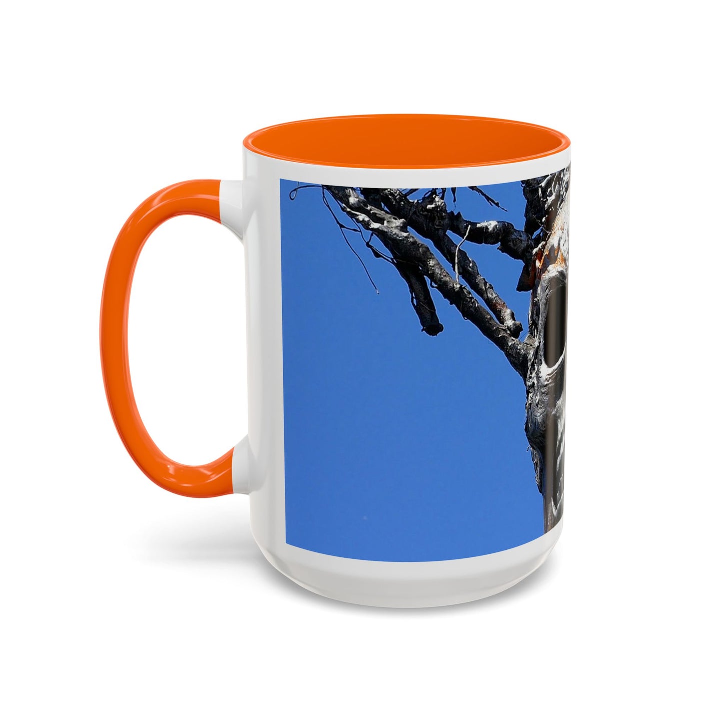 Skull Warrior Stare - Accent Coffee Mug (11, 15oz)