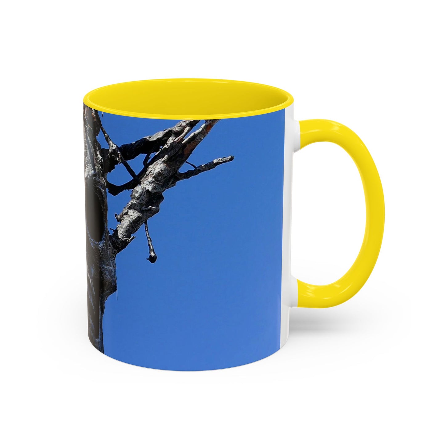 Skull Warrior Stare - Accent Coffee Mug (11, 15oz)