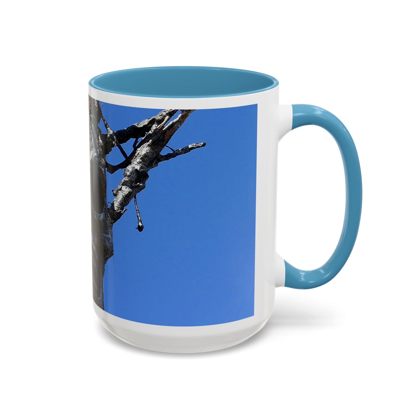 Skull Warrior Stare - Accent Coffee Mug (11, 15oz)