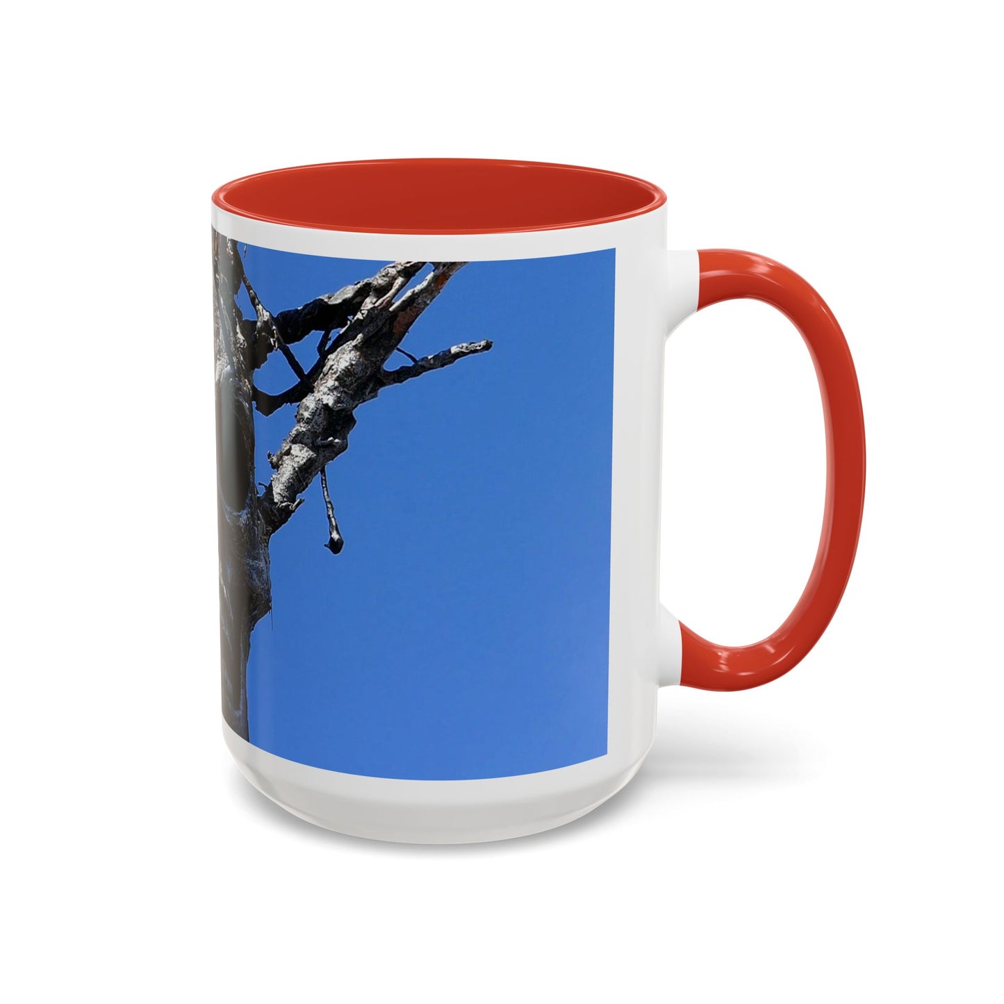 Skull Warrior Stare - Accent Coffee Mug (11, 15oz)