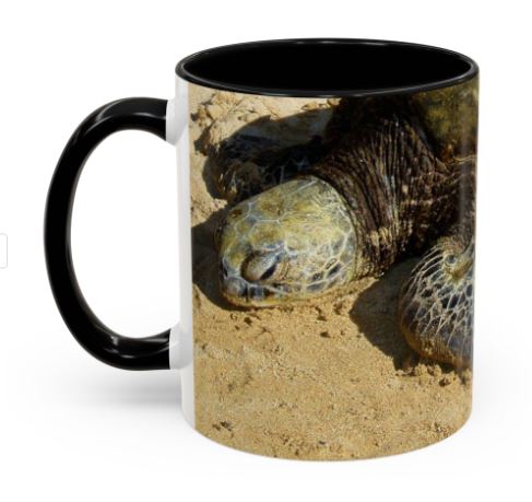 Sandy Turtle - Accent Coffee Mug (11, 15oz)