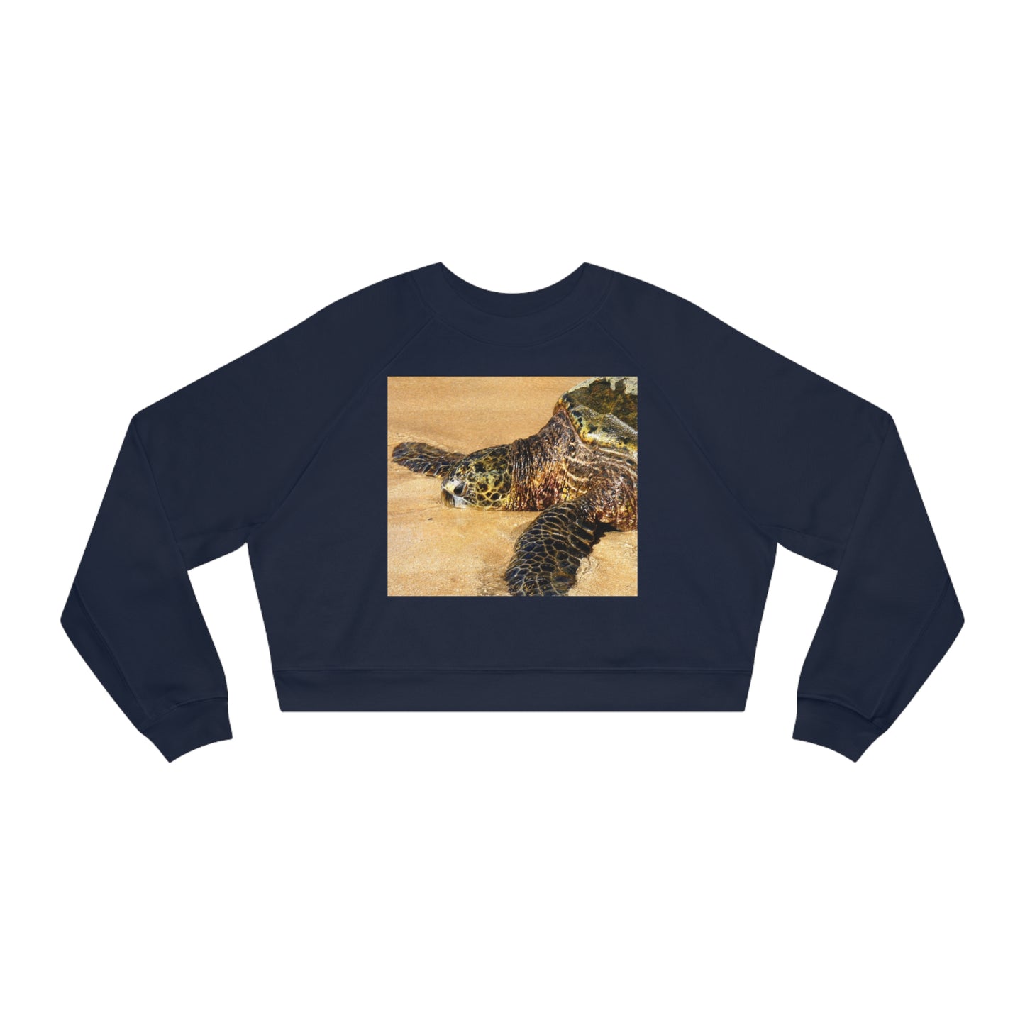 Glistening Journey - Women's Cropped Fleece Pullover - Fry1Productions
