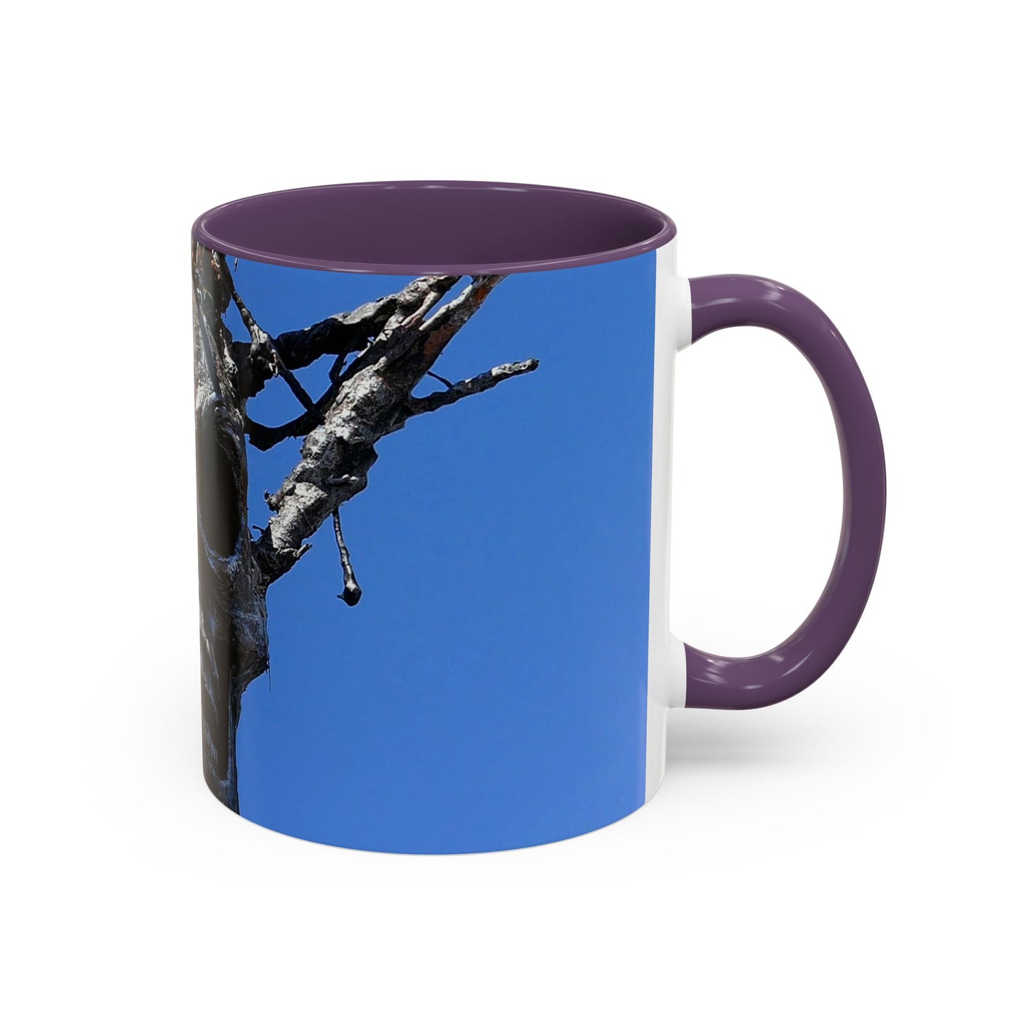 Skull Warrior Stare - Accent Coffee Mug (11, 15oz)