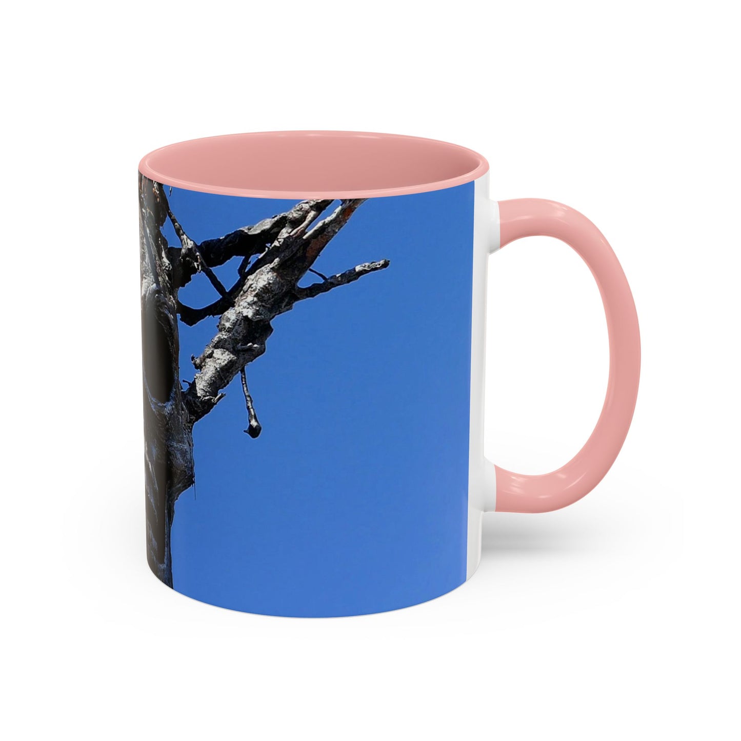 Skull Warrior Stare - Accent Coffee Mug (11, 15oz)