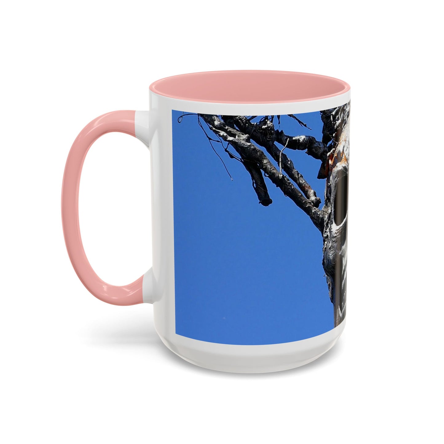 Skull Warrior Stare - Accent Coffee Mug (11, 15oz)