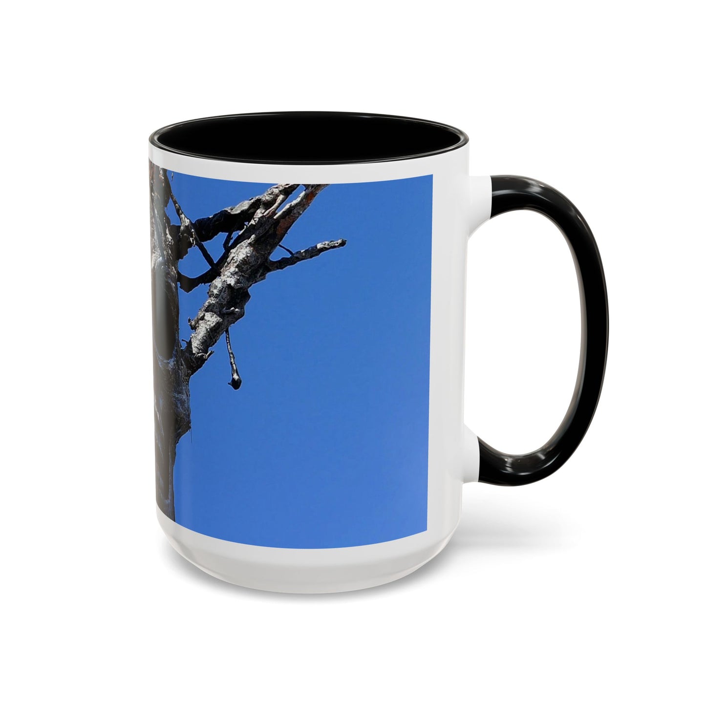 Skull Warrior Stare - Accent Coffee Mug (11, 15oz)