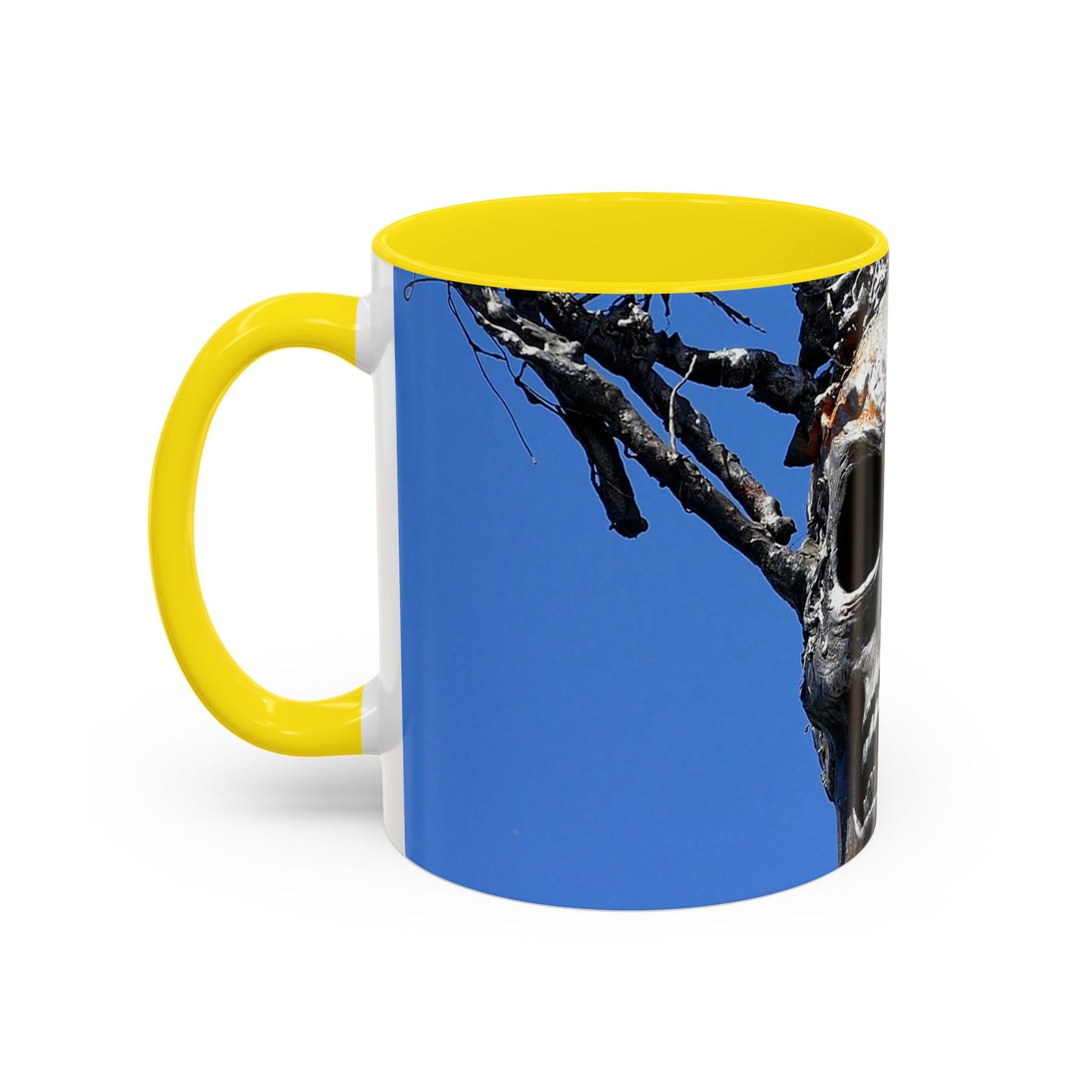 Skull Warrior Stare - Accent Coffee Mug (11, 15oz)