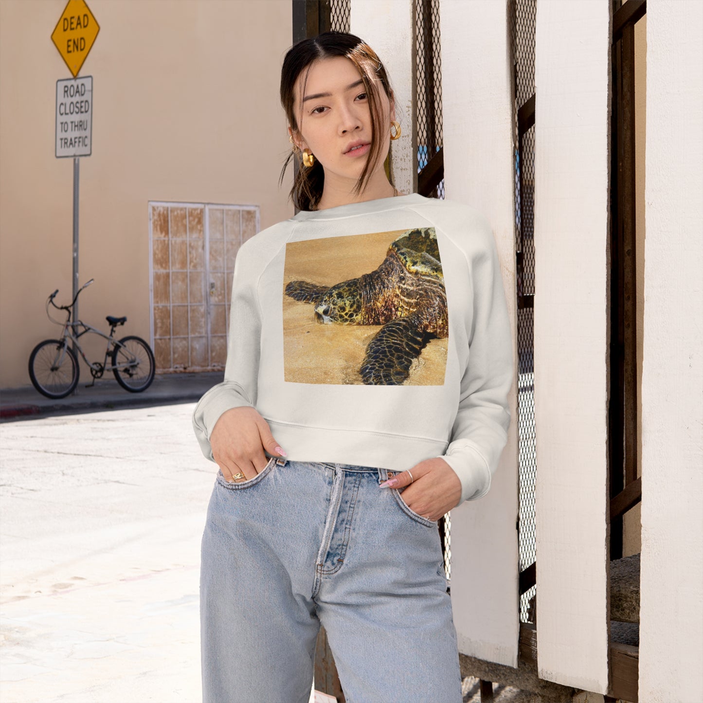 Glistening Journey - Women's Cropped Fleece Pullover - Fry1Productions