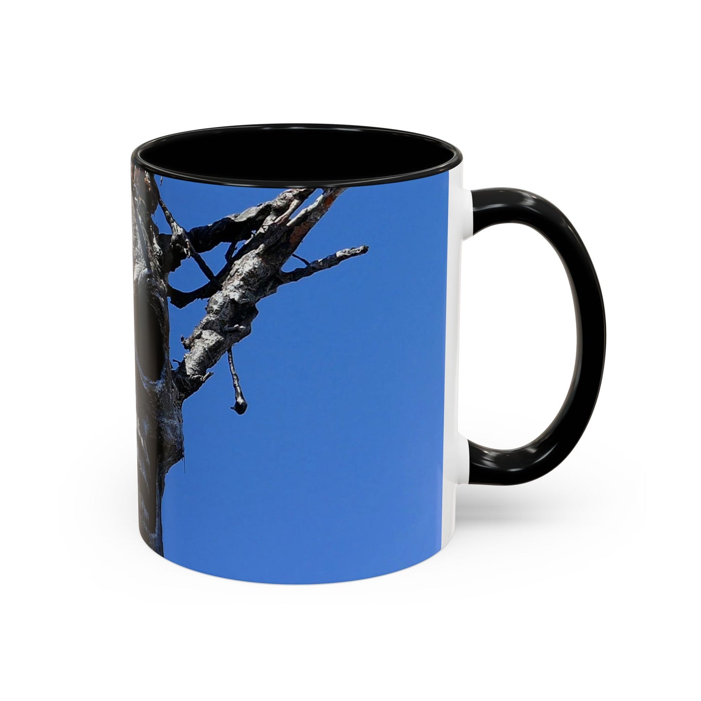 Skull Warrior Stare - Accent Coffee Mug (11, 15oz)