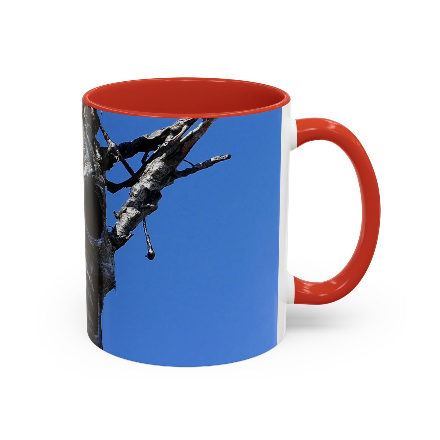 Skull Warrior Stare - Accent Coffee Mug (11, 15oz)