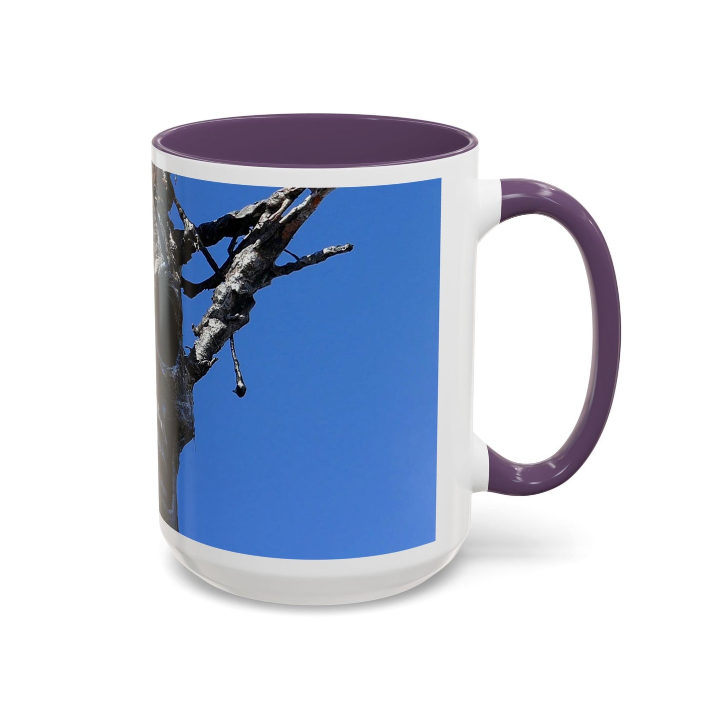 Skull Warrior Stare - Accent Coffee Mug (11, 15oz)