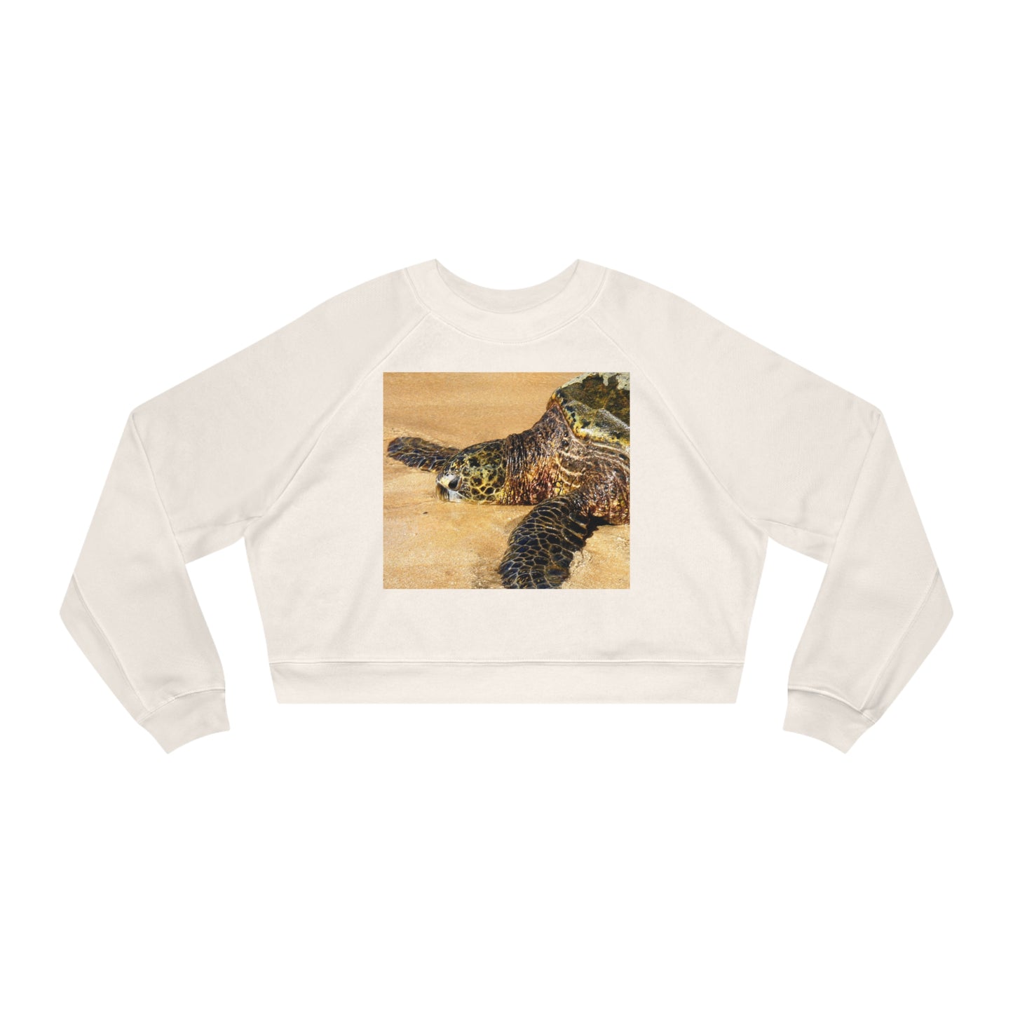 Glistening Journey - Women's Cropped Fleece Pullover - Fry1Productions