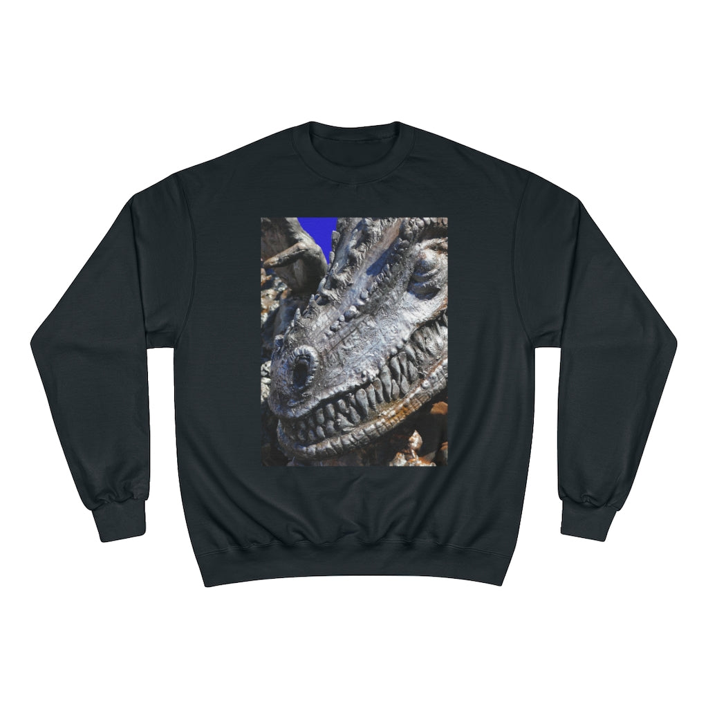 Delectable Vision - Champion Sweatshirt - Fry1Productions