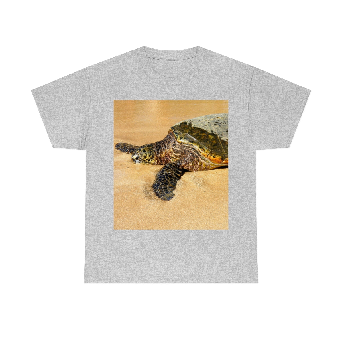 Glistening Journey - Unisex Heavy Cotton Tee - Fry1Productions