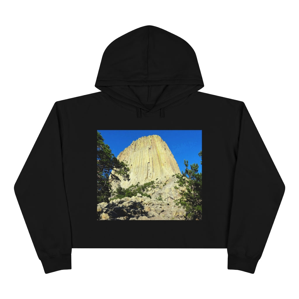 Reaching Heaven - Crop Hoodie - Fry1Productions