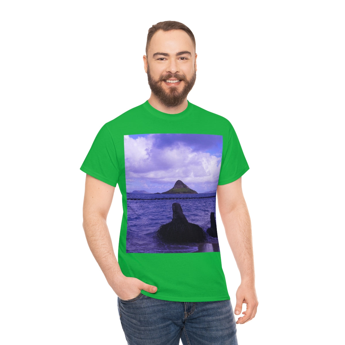 Wade To Chinaman's Hat - Unisex Heavy Cotton Tee - Fry1Productions