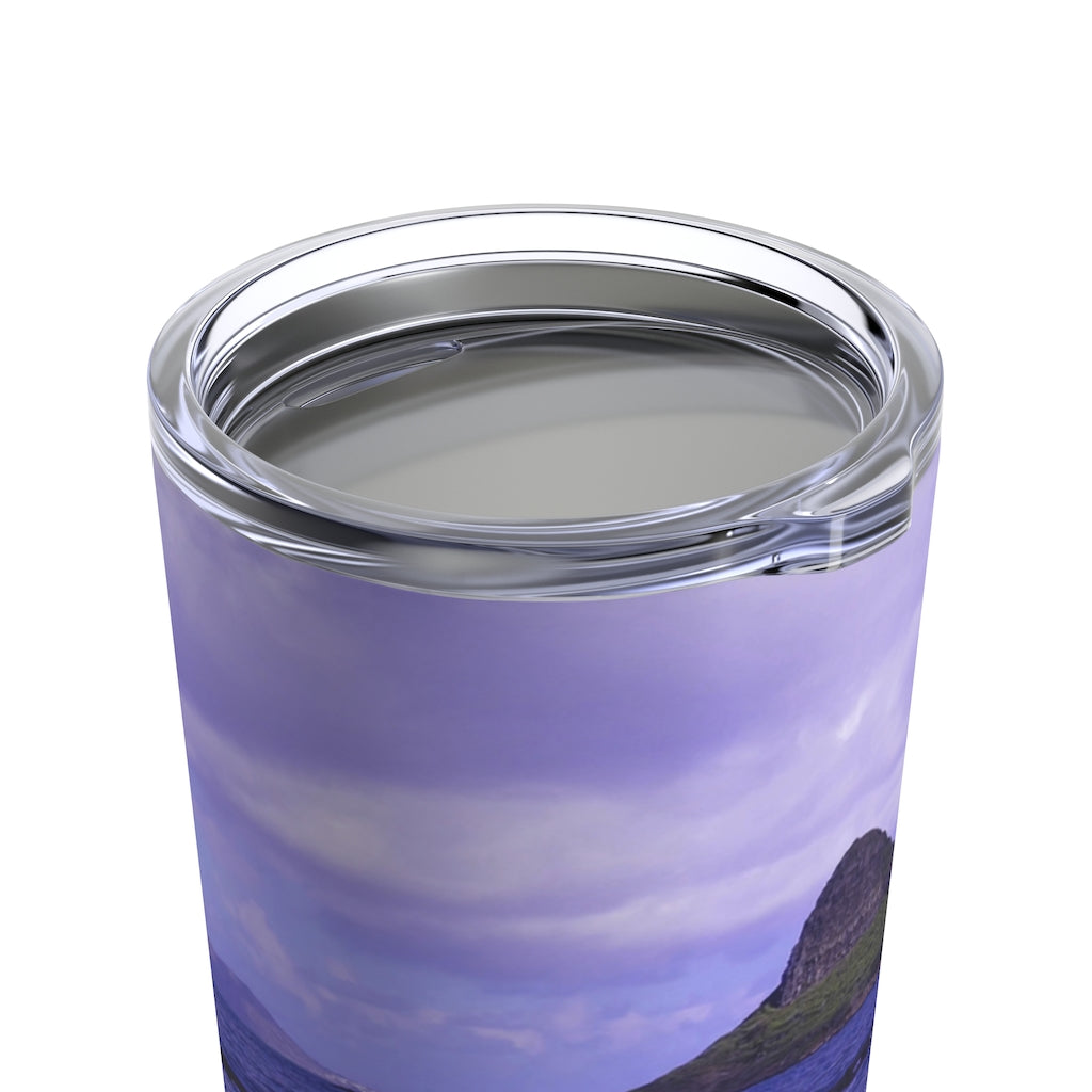"Wade to Chinaman's Hat" - Stainless Steel Tumbler 20 oz - Fry1Productions