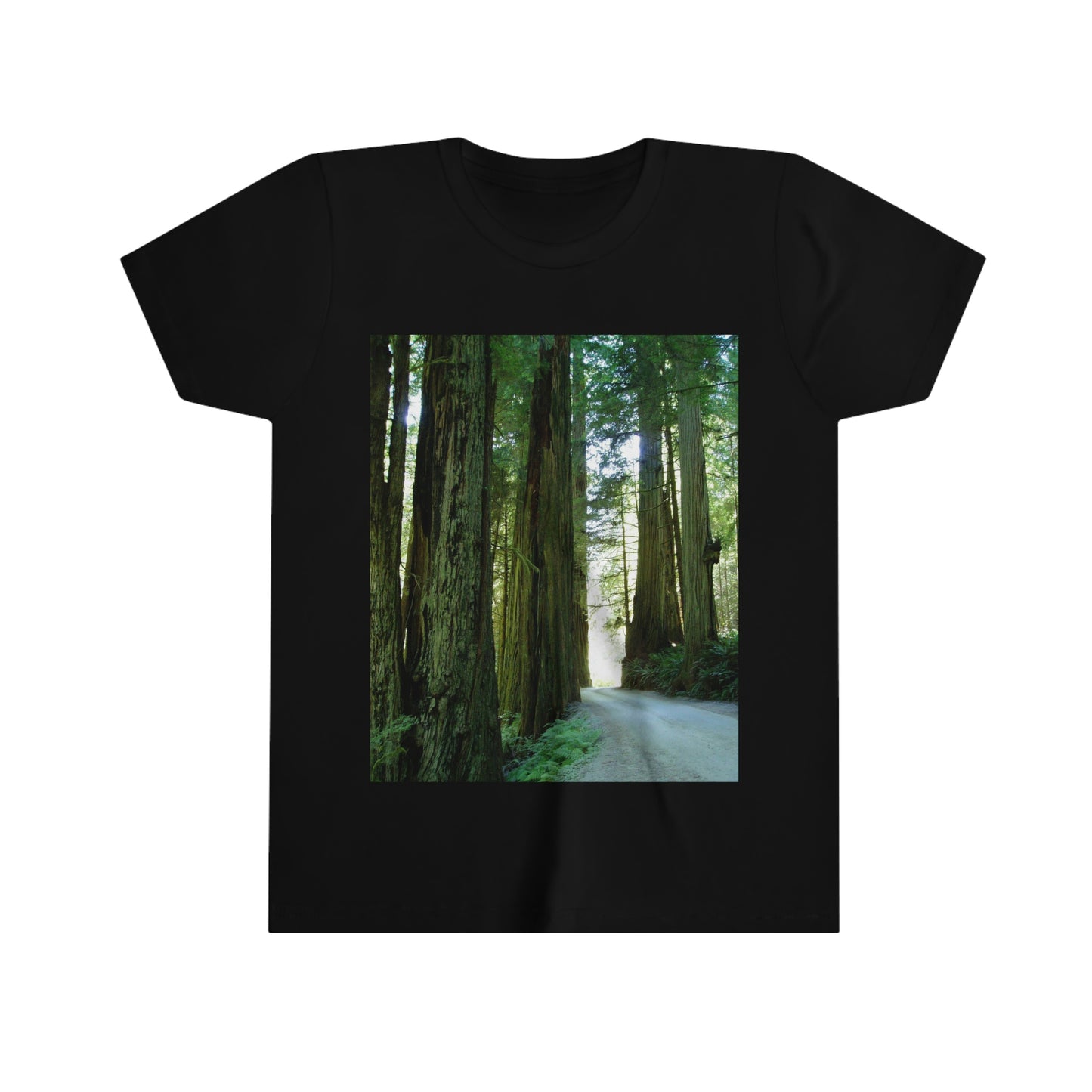 Wandering Ferns and Giants - Youth Short Sleeve Tee - Fry1Productions