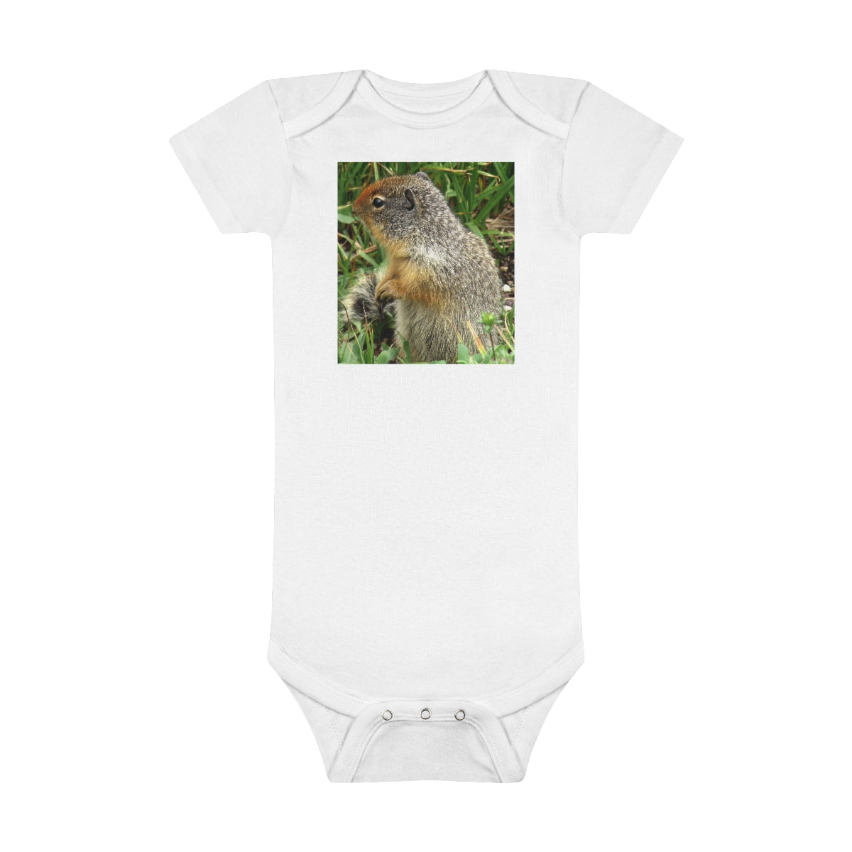 Inquisitive Stare - Baby Short Sleeve Onesie - Fry1Productions