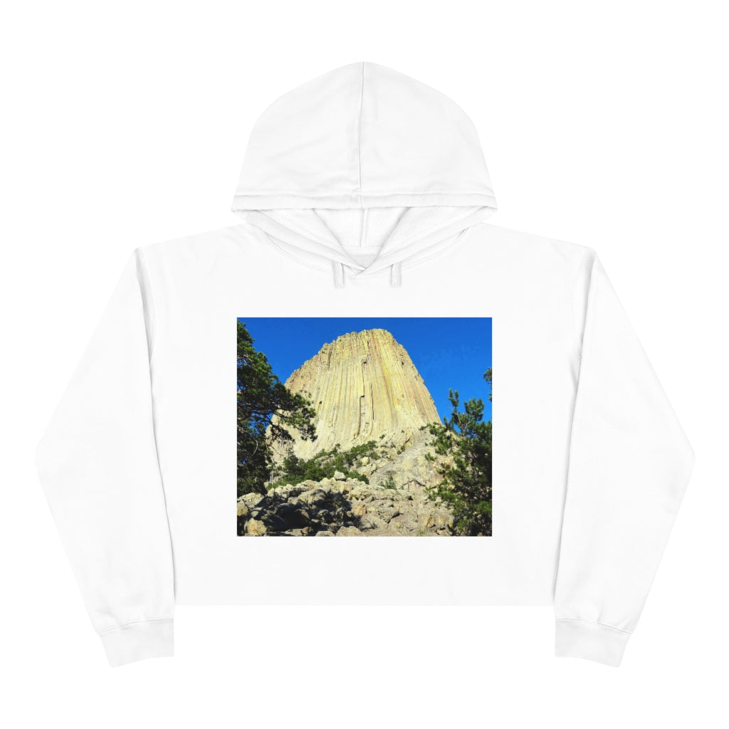 Reaching Heaven - Crop Hoodie - Fry1Productions