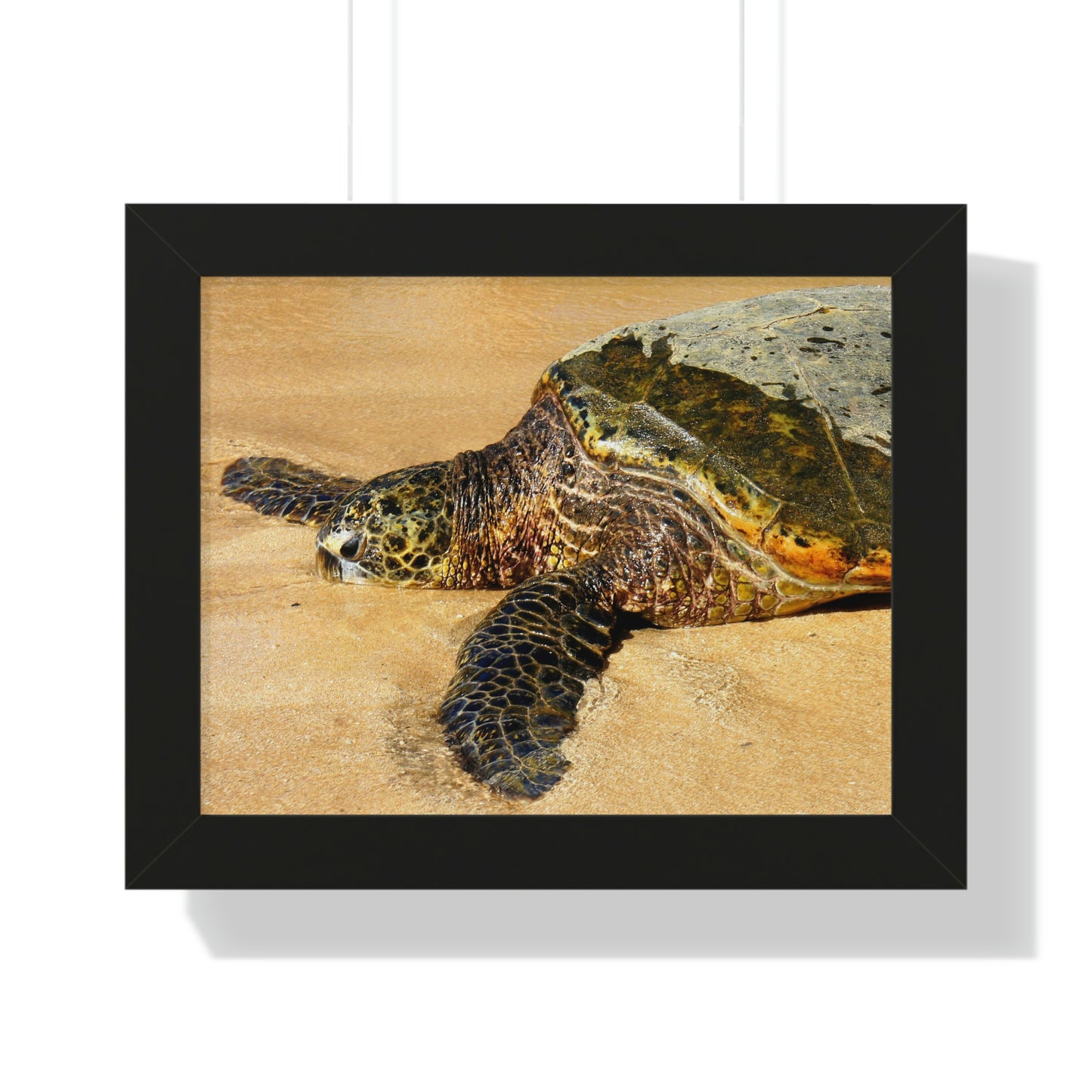Glistening Journey - Framed Horizontal Poster - Fry1Productions