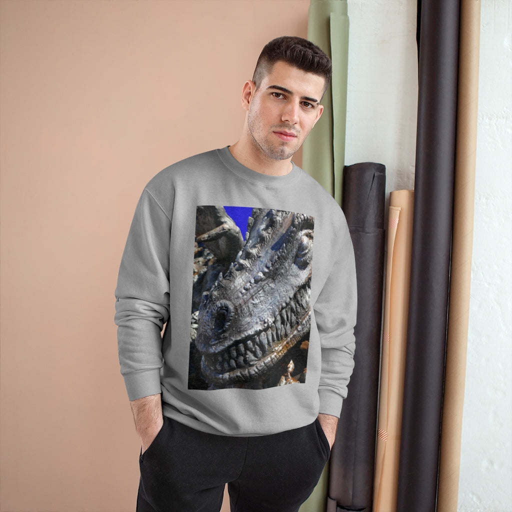 Delectable Vision - Champion Sweatshirt - Fry1Productions