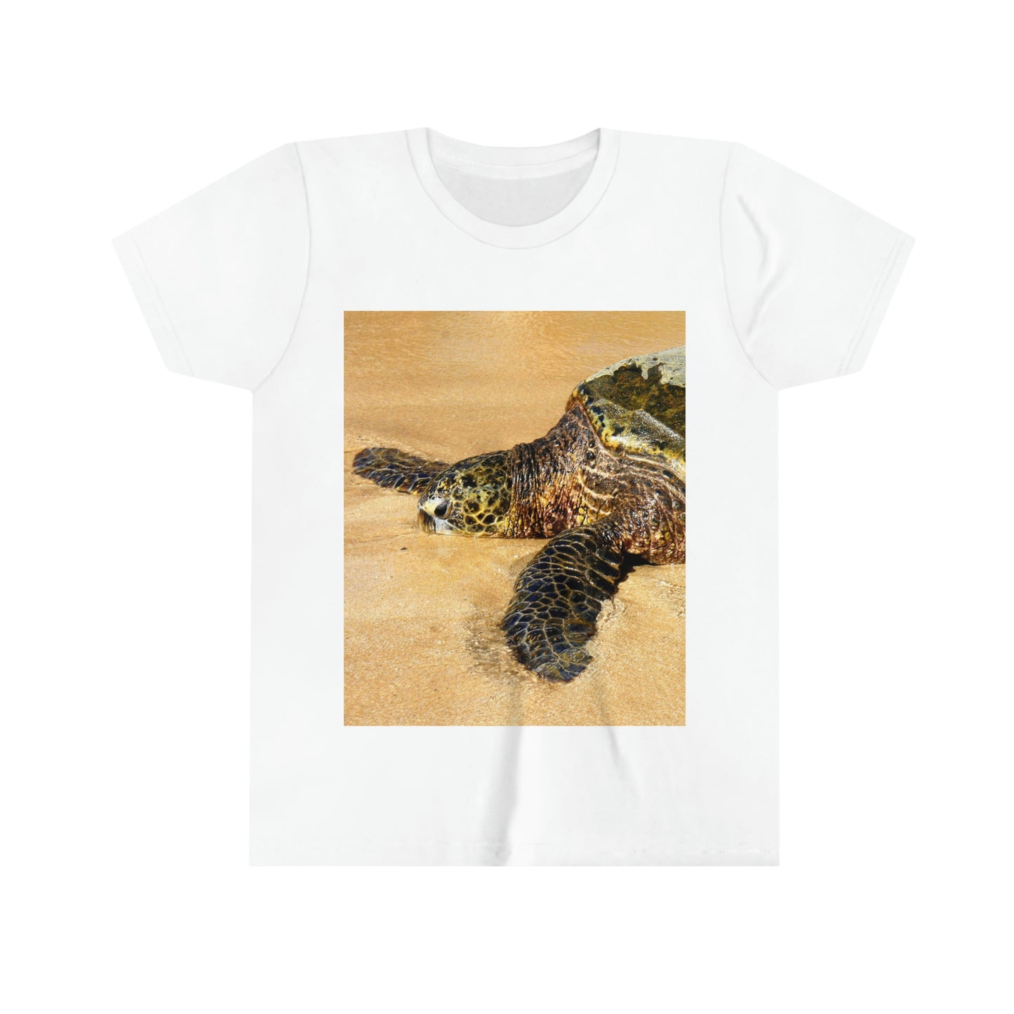 Glistening Journey - Youth Short Sleeve Tee - Fry1Productions