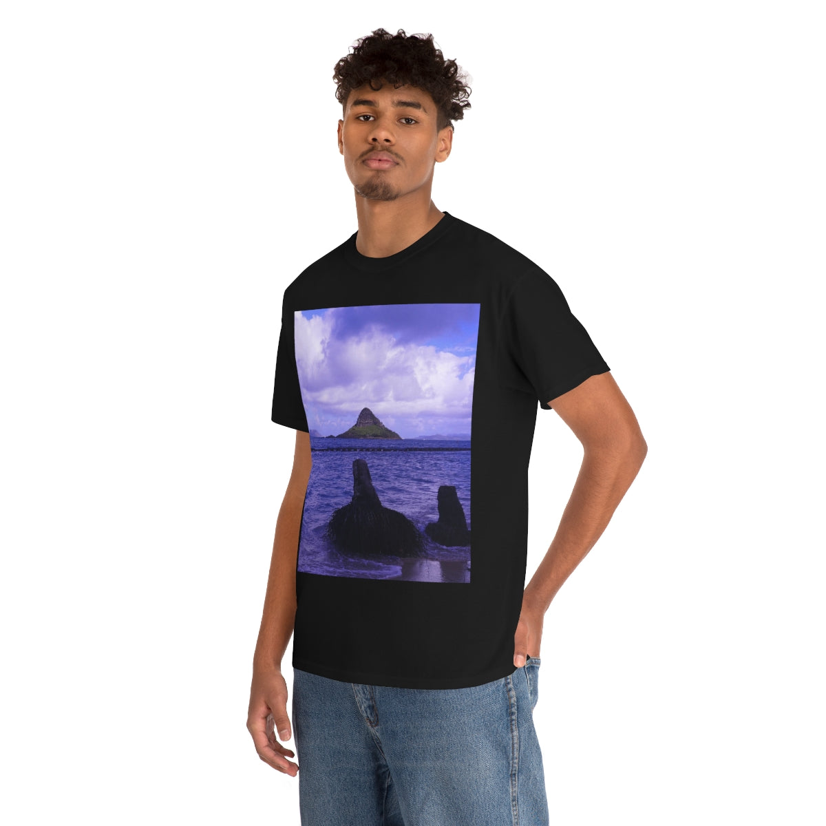 Wade To Chinaman's Hat - Unisex Heavy Cotton Tee - Fry1Productions