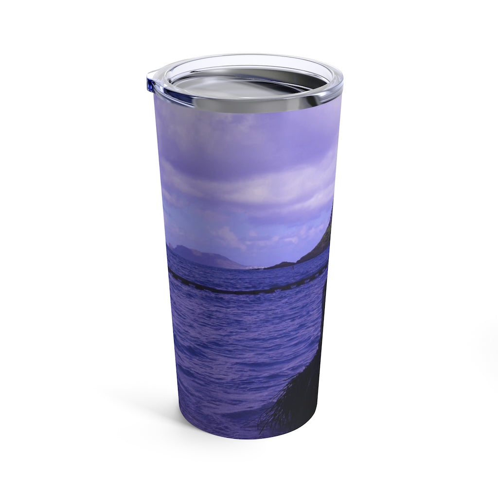 "Wade to Chinaman's Hat" - Stainless Steel Tumbler 20 oz - Fry1Productions