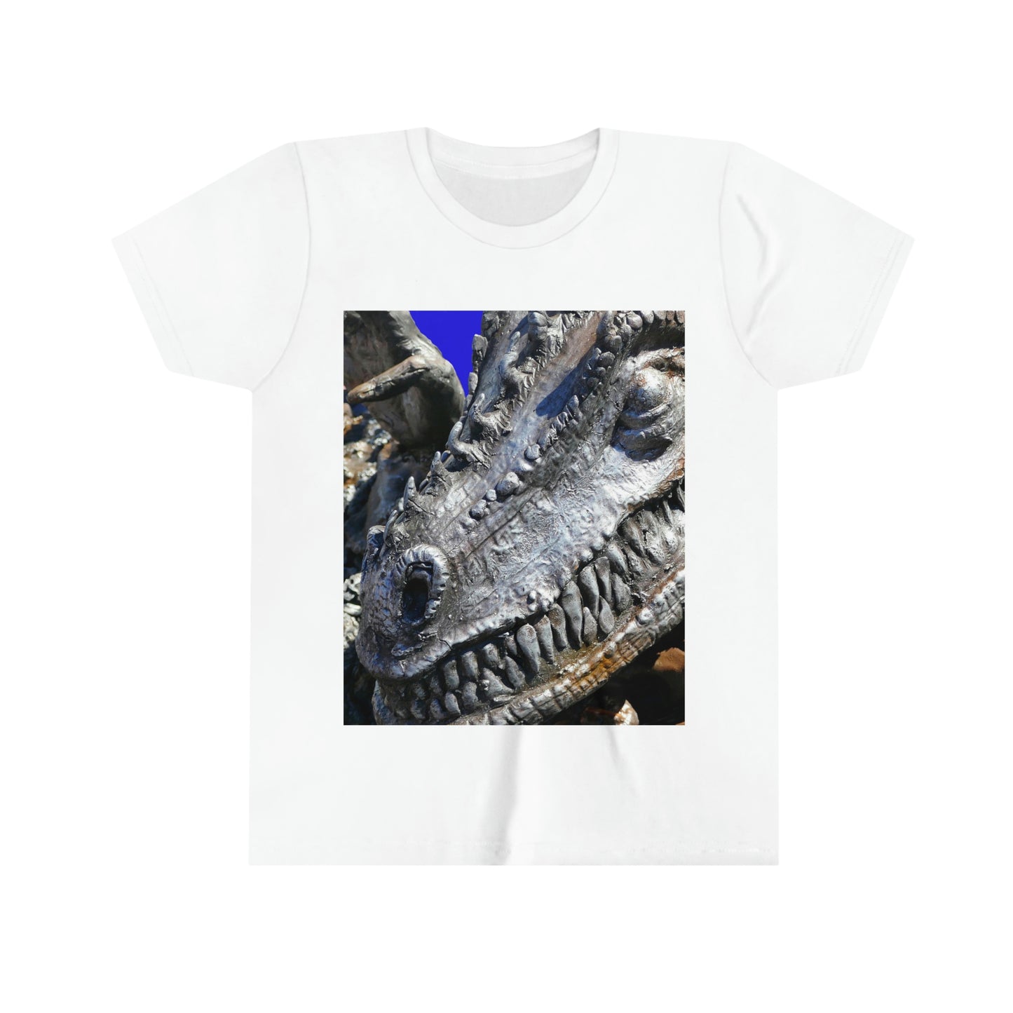 Delectable Vision - Youth Short Sleeve Tee - Fry1Productions