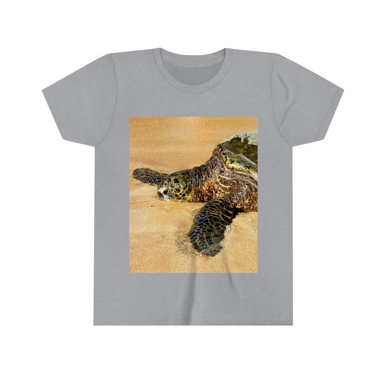 Glistening Journey - Youth Short Sleeve Tee - Fry1Productions
