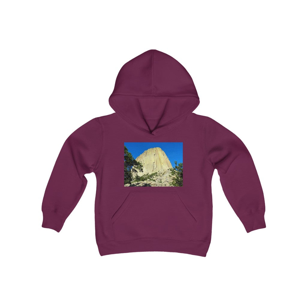 "Reaching Heaven" - Youth Heavy Blend Hooded Sweatshirt - Fry1Productions