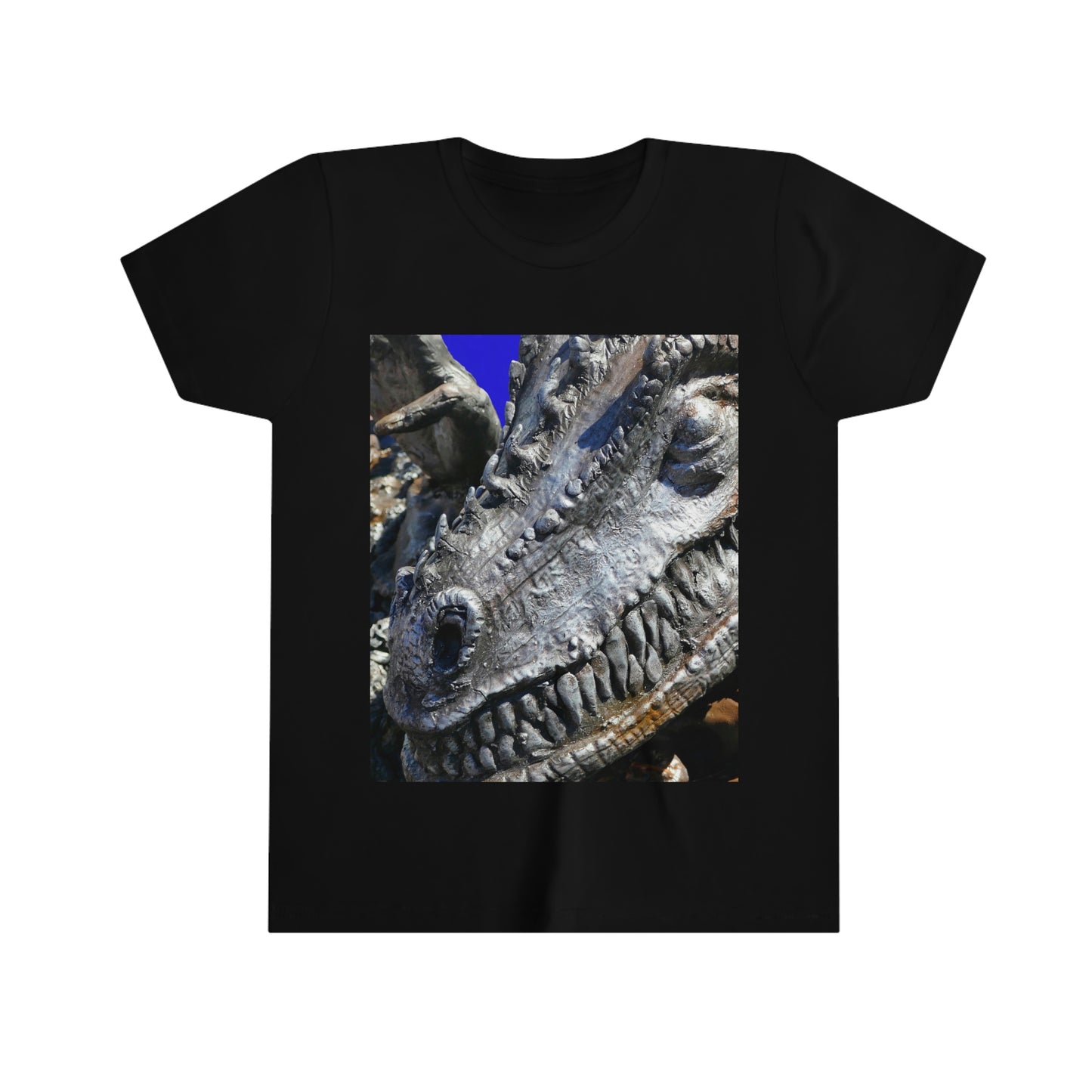 Delectable Vision - Youth Short Sleeve Tee - Fry1Productions