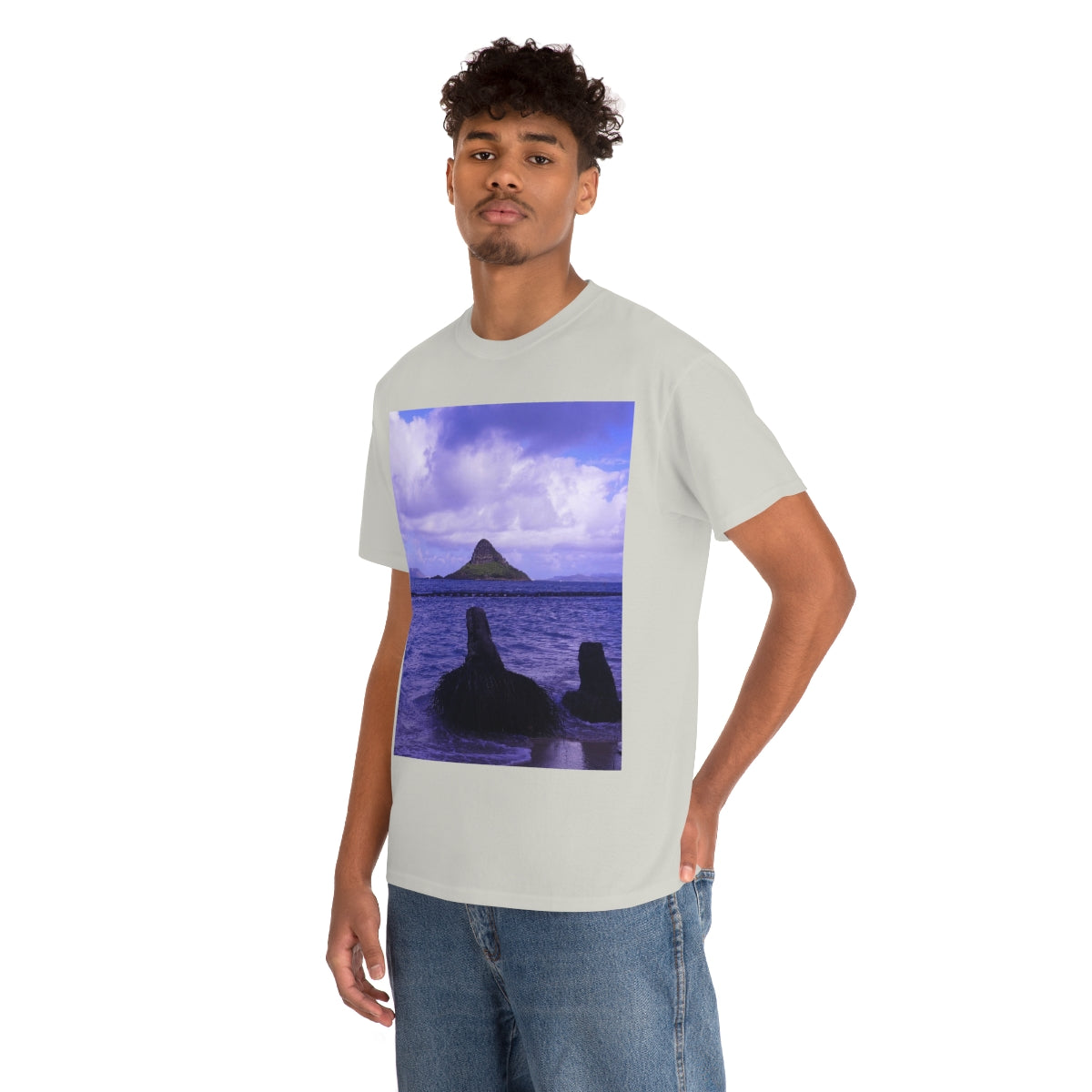Wade To Chinaman's Hat - Unisex Heavy Cotton Tee - Fry1Productions
