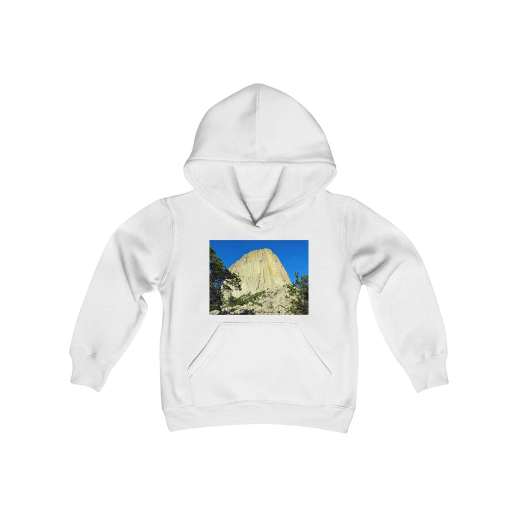 "Reaching Heaven" - Youth Heavy Blend Hooded Sweatshirt - Fry1Productions