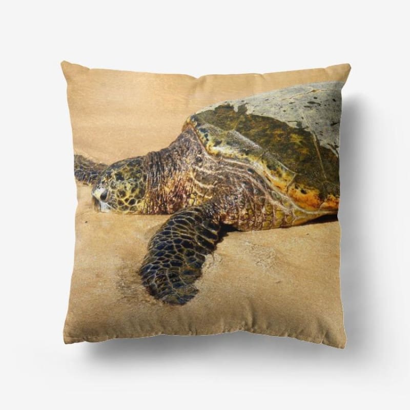 Glistening Journey - Hypoallergenic Throw Pillow - Fry1Productions